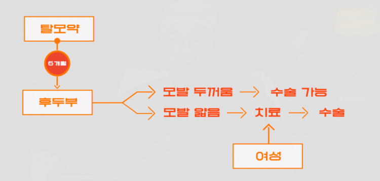 6a2af1dee39c3adfb6fa6022b01a80cb_1724754176_3571.png