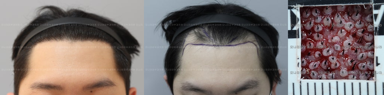 10c079e4764ecedff47bb3a8d568beba_1743753995_449.png