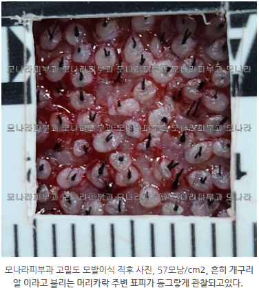 7bda24a56420fb3e00e81b9c3ec9eee7_1749100535_7052.png
