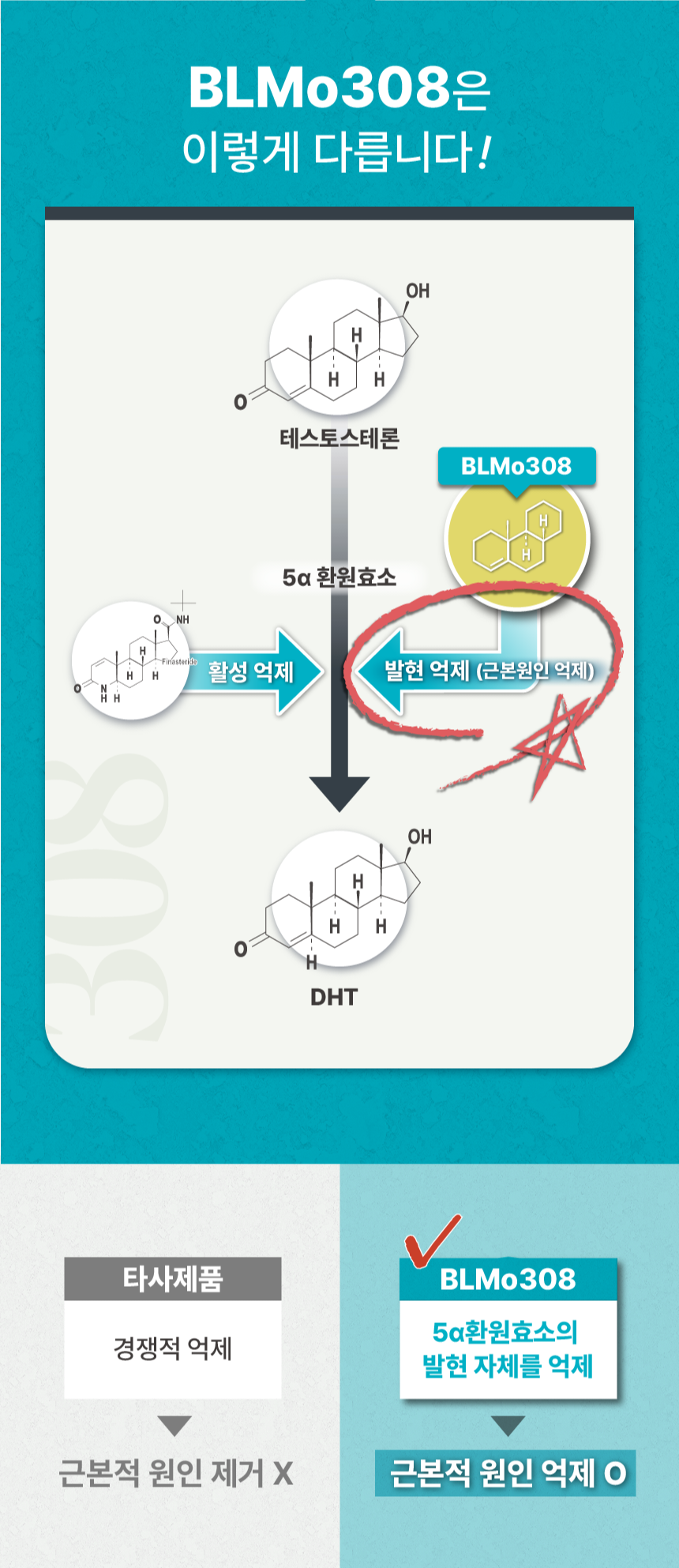 두피토너1주차후기올립니다