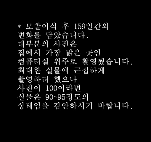 ㅁㅈㄹ3000모0일159일